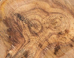 Brown background texture of sawn tree trunk. tree rings. stump surface close up