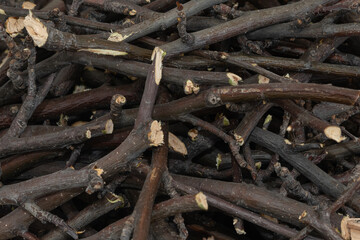 Bundle of dry sticks and branches. Dry brushwood. Firewood. Large pile of sticks twigs of a tree.
