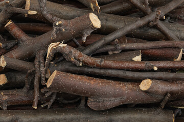 Bundle of dry sticks and branches. Dry brushwood. Firewood. Large pile of sticks twigs of a tree.