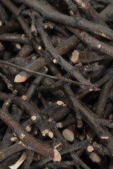 Bundle of dry sticks and branches. Dry brushwood. Firewood. Large pile of sticks twigs of a tree.