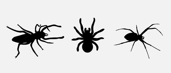 isolated black silhouette of a spider, vector collection