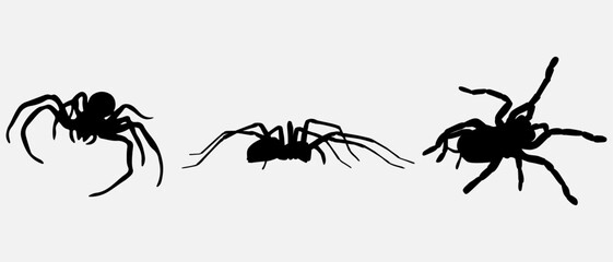 isolated black silhouette of a spider, vector collection