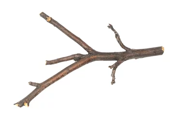 Rolgordijnen Dry tree twig and branch with knots isolated white background. Dry brushwood. stick tree. pieces of broken wood plank. © Илья Подопригоров