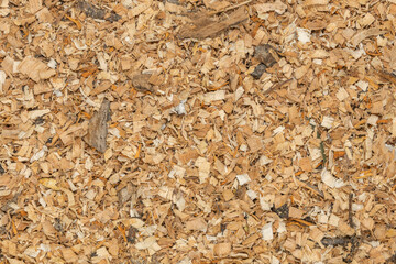 Wood shavings and sawdust background texture. Pile of sawdust close up top view.