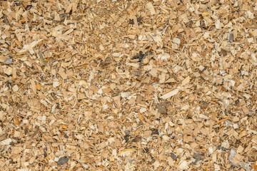 Wood shavings and sawdust background texture. Pile of sawdust close up top view.