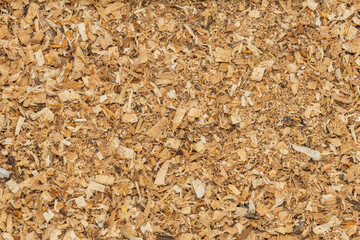 Wood shavings and sawdust background texture. Pile of sawdust close up top view.