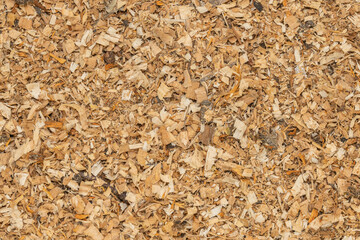 Wood shavings and sawdust background texture. Pile of sawdust close up top view.