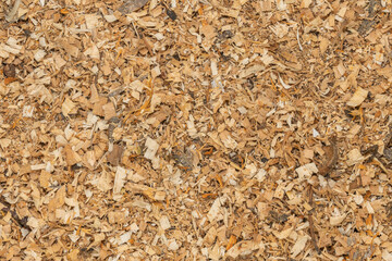 Wood shavings and sawdust background texture. Pile of sawdust close up top view.
