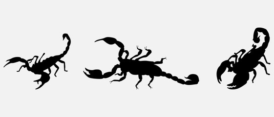 isolated black silhouette of a scorpion, vector collection
