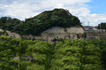 Fototapeta na wymiar 崖の地層木が生い茂っています。
