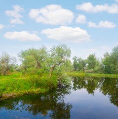 Fototapeta na wymiar small calm river with forest on coast under cloudy sky, summer rural contryside landscape