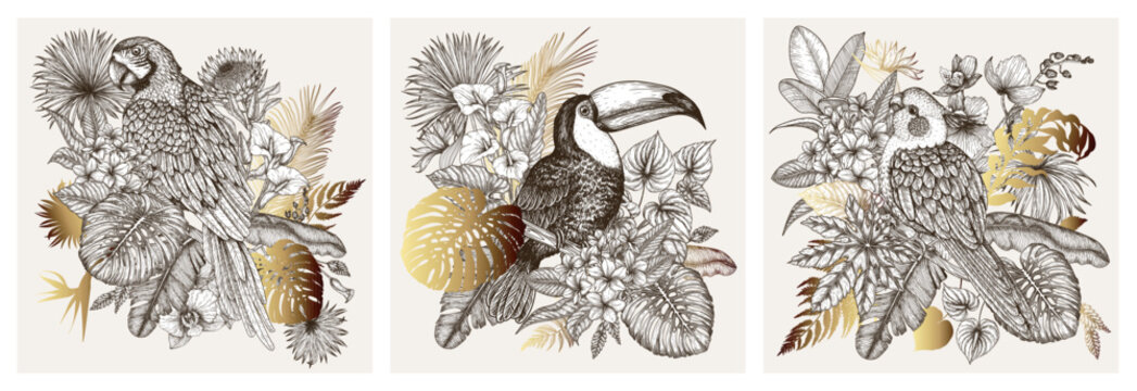 Set of 3 posters with birds surrounded by tropical flowers and plants in engraving style. Macaw parrot, toucan and corella parrot