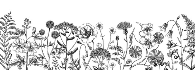 Summer background with field flowers in sketch style. Hand drawn wildflowers vintage border. Herbs, meadows, flowering plants vector illustrations. Floral design for banner, web, packaging, print - 603689940