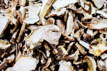 Dried mushrooms. Procurement and processing of natural products. selective focus