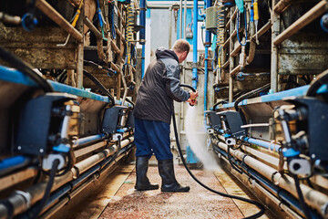 Man, machine or farmer cleaning in factory hosing off a dirty or messy floor after dairy milk...