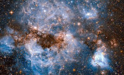 Stellar nursery within the Large Magellanic Cloud. Elements of this image furnished by NASA. © gizemg