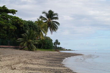 Fototapeta premium TAHITI PLAGE 2023