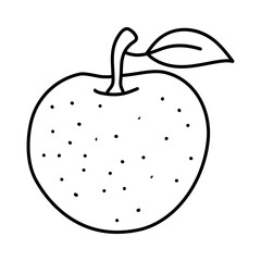  linear drawing oranges isolated on white background. Sketch for coloring booking page. Vector illustration