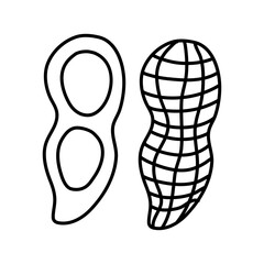 Hand drawn black and white illustration of a peanut in shell and peeled nuts.