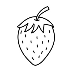 Strawberry hand drawn outline doodle icon. Vector sketch illustration of healthy berry, fresh raw strawberry for print, web, mobile and infographics isolated on white background.