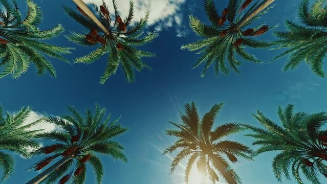 Driving through Beverly Drive. Los Angeles, California. Palm trees against a summer sky. Synthwave Mood. Professional Cinematic 4K 3d Animation.