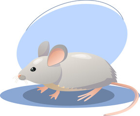Mouse illustration. Animal, ears, tail, nose. Editable vector graphic design.