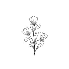 flower isolated