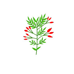 red and green leaves