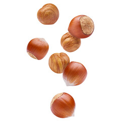 Flying delicious hazelnuts, cut out