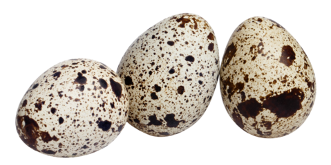 Delicious quail eggs cut out