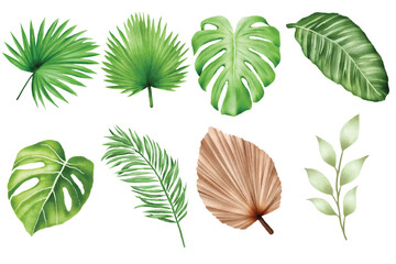 Fototapeta na wymiar Set of Tropical Leaf Watercolor Element