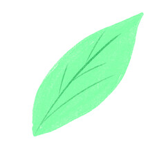 Obraz premium 나뭇잎