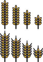 vector bunch of wheat or rye ears