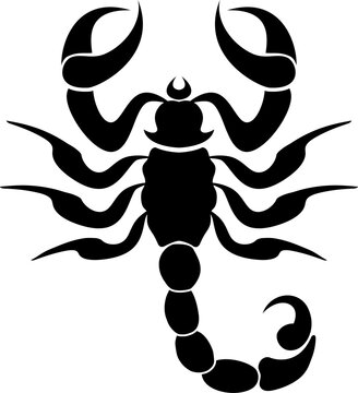 vector black silhouette of scorpion