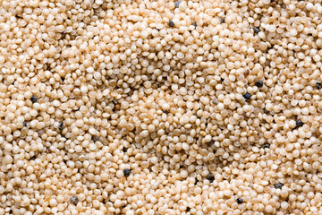Amaranth seed abstract background. Macro texture of seeds