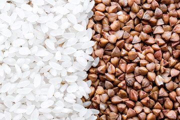 buckwheat. fresh buckwheat. dry buckwheat background. buckwheat texture