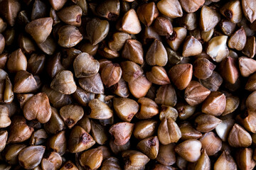 buckwheat. fresh buckwheat. dry buckwheat background. buckwheat texture