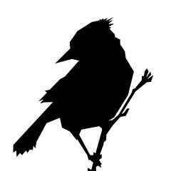 Blue jay poly silhouette