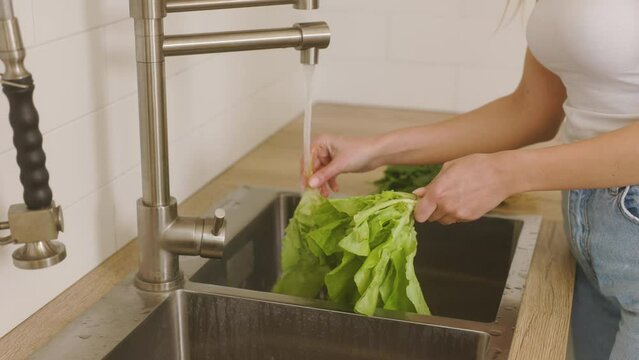 Female hands wash green leaves of salads under running water in the kitchen. Healthy eating. Making a delicious and nutritious salad. Washing lettuce in the kitchen