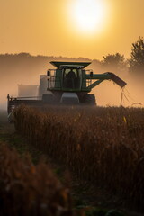 Early Morning Wheat Harvest: Farmer Driving Large Combine Harvester, Generative AI