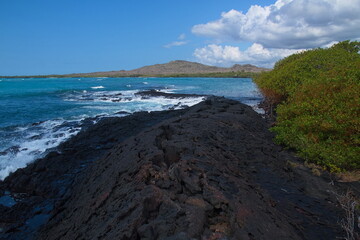 Lava Tunnel at Puerto Villamil on Isabela island of Galapagos islands, Ecuador, South America
