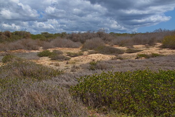 Landscape at Poza de las Diablas at Puerto Villamil on Isabela island of Galapagos islands, Ecuador, South America
