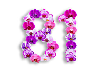 The shape of the number 81 is made of various kinds of orchid flowers. suitable for birthday, anniversary and memorial day templates