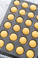 Mini Vanilla Cupcakes with Pink Buttercream Frosting