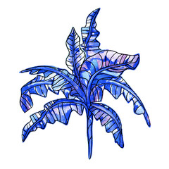 Banana tree leaves isolated watercolor hand drawn