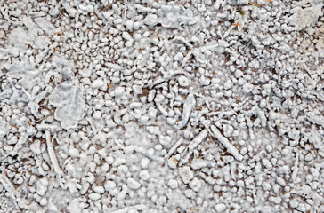 a closeup of crystallized salt on the ground after a lake has dried up