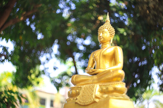 golden buddha statue	
