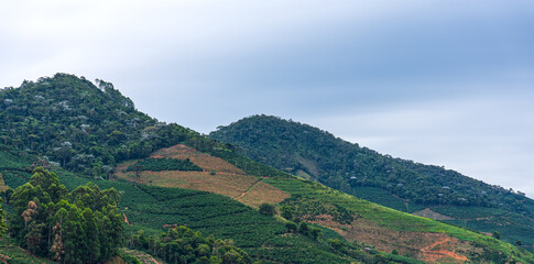 Fototapeta premium Mountain slopes covered in coffee plantations, twin peaks and abstract clouds