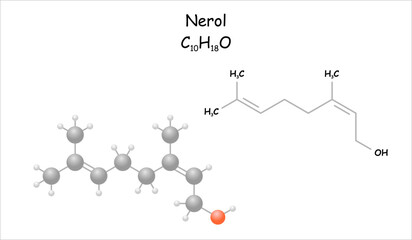 Stylized molecule model/structural formula of nerol.