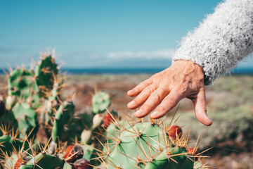 Female hand touching a wild prickly pear, thorns, attention, spontaneous tropical plant. Horizon...
